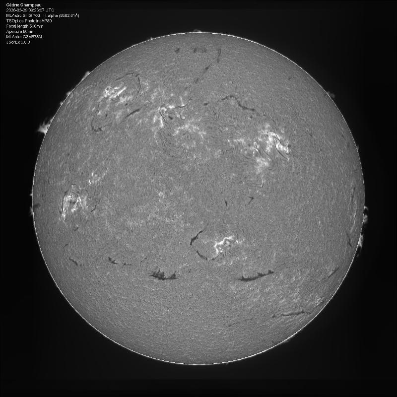Image améliorée