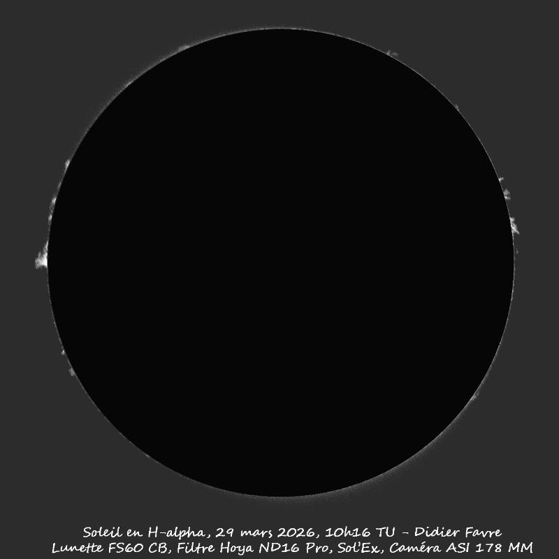 Protus en H-alpha