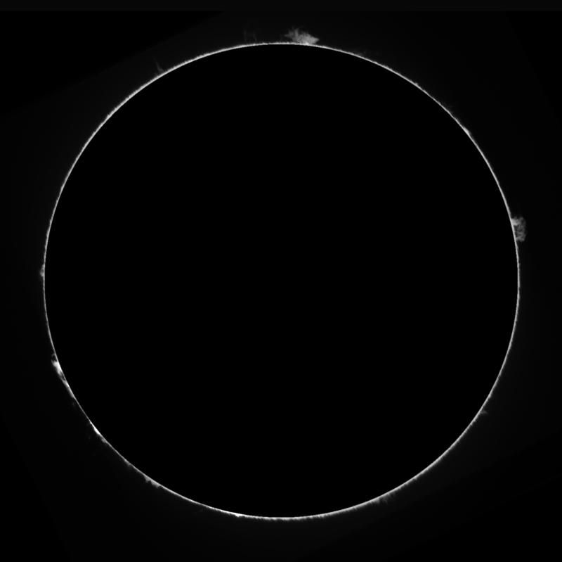 _15_14_56_protus