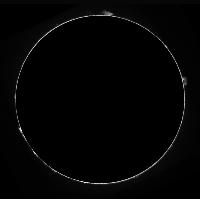 _15_14_56_protus