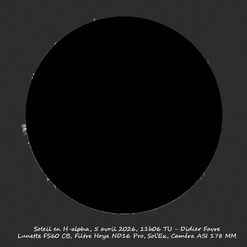 PROTUS EN H-ALPHA