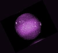 Colorisée (Calcium (K))