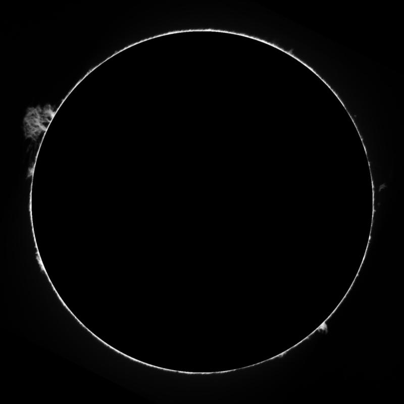 _11_59_30_protus