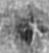 ar_crop_0
